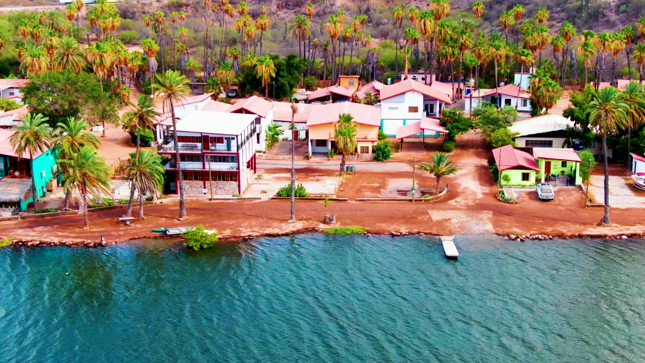 Drone view of coastal homes beside calm water and palm trees.