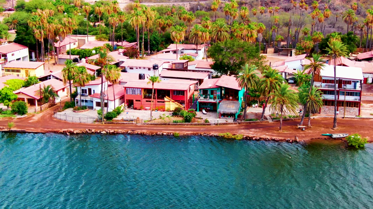 Aerial frame from Mulege, Baja California Sur showing calm blue-green water, a narrow shore edge, mixed-color houses, tall palm trunks, vegetation, and no visible people.