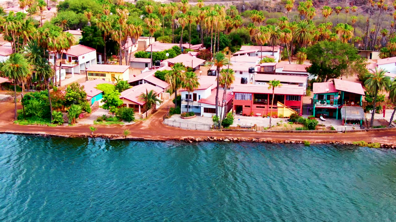 Aerial Mulege, Baja California Sur frame showing a palm-lined residential strip, a narrow road along the water, and blue water with visible surface ripples, no visible people.