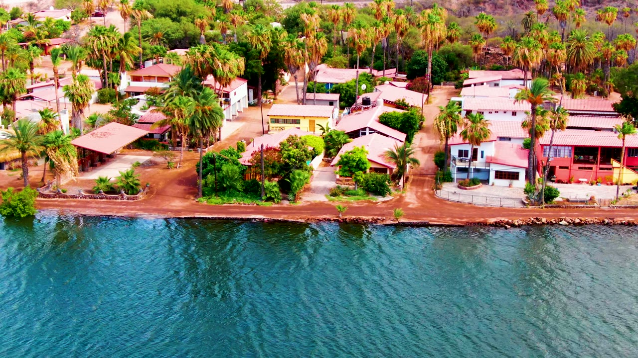 Coastal houses and palms along rippling blue water.