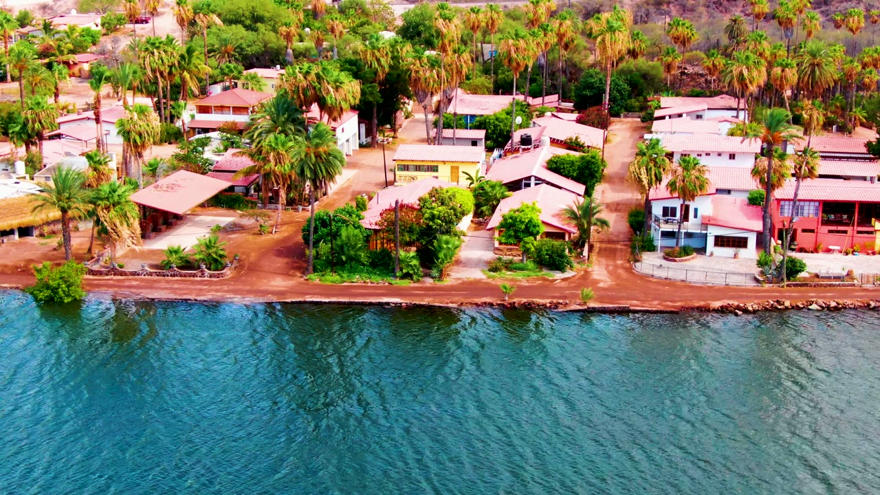 Mid-pan aerial frame in Mulege, Baja California Sur showing more of the palm-filled residential strip, with blue water in the foreground and no visible people.