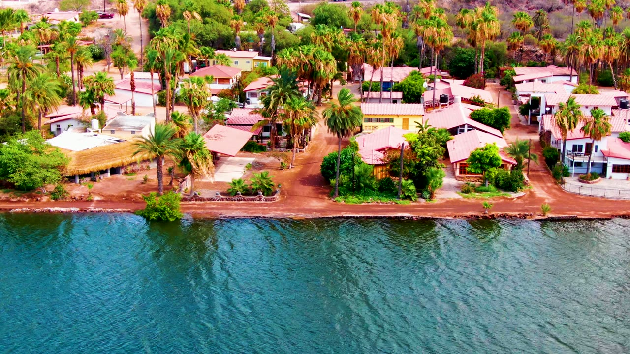 Coastal homes and palm trees beside calm blue water.