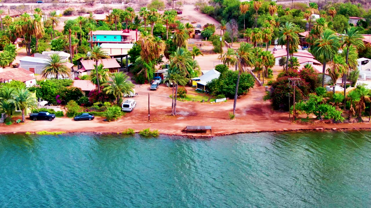 Drone view of waterfront road, palms, houses, and parked vehicles.