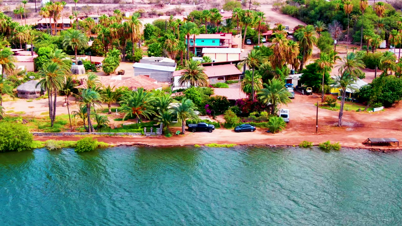 Waterfront road beside rippling water with palms, houses, and a white van area visible.