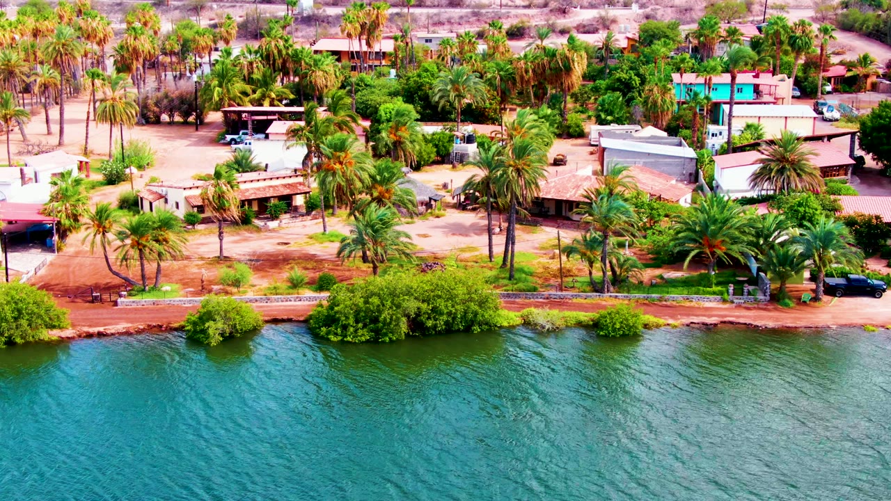 Aerial frame over Mulege, Baja California Sur, with rippling turquoise water in front, a palm-lined shore, low residential buildings, a dark vehicle near the trees, and no visible people.
