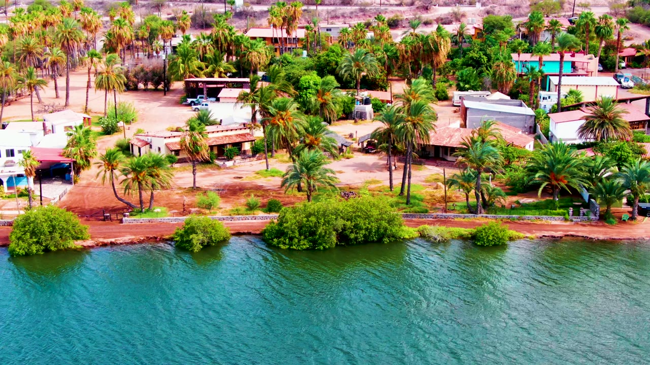 Waterfront homes and palms seen from above with rippling water below.