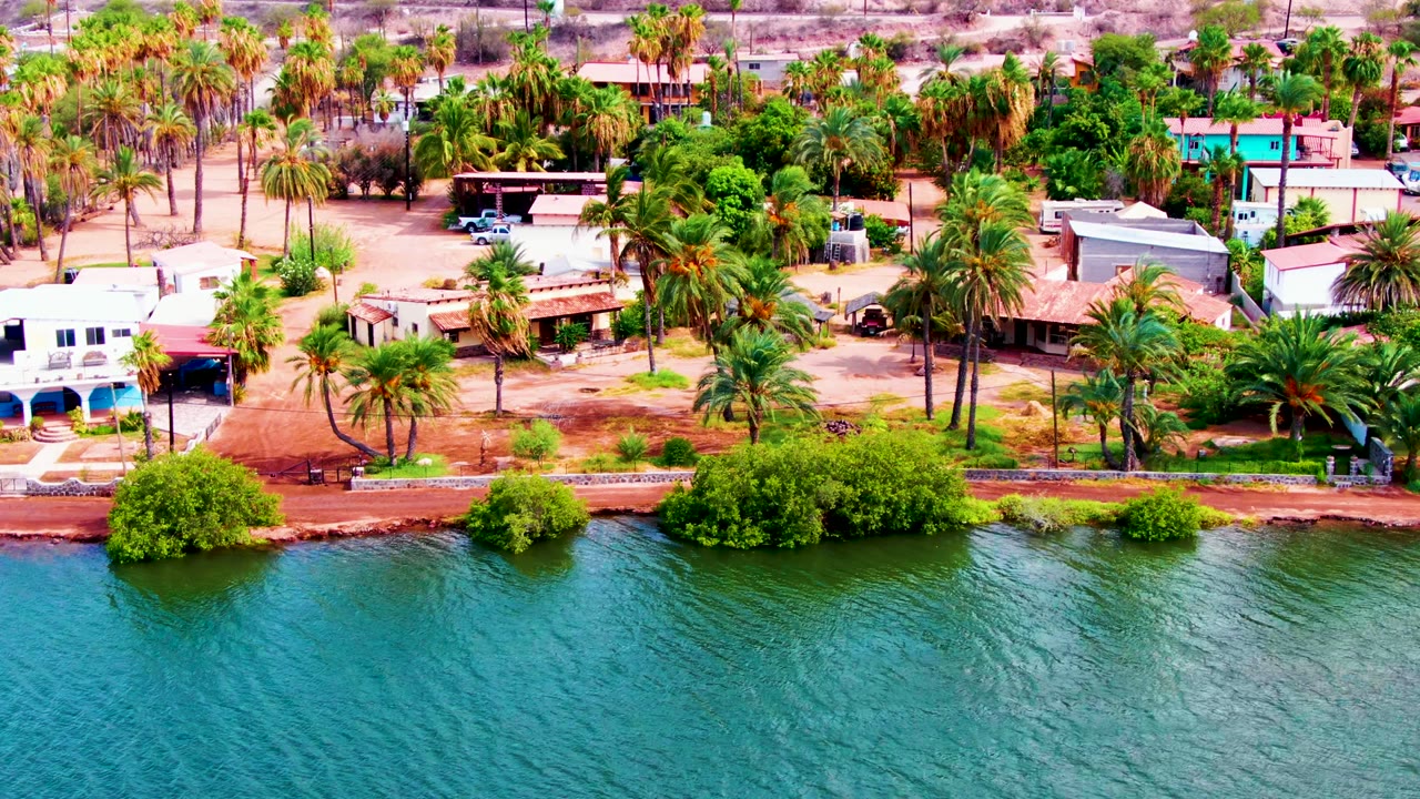 Mulege waterfront aerial frame with blue-green rippling water, a narrow shore, clustered palms, shrubs, low buildings, and no visible people along the visible ground.