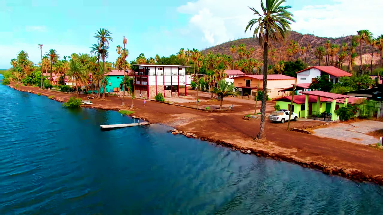 Aerial frame over Mulege, Baja California Sur showing blue water at left, palm-lined shoreline, red-roofed buildings, a green building near the road, low hills behind, and no visible people.