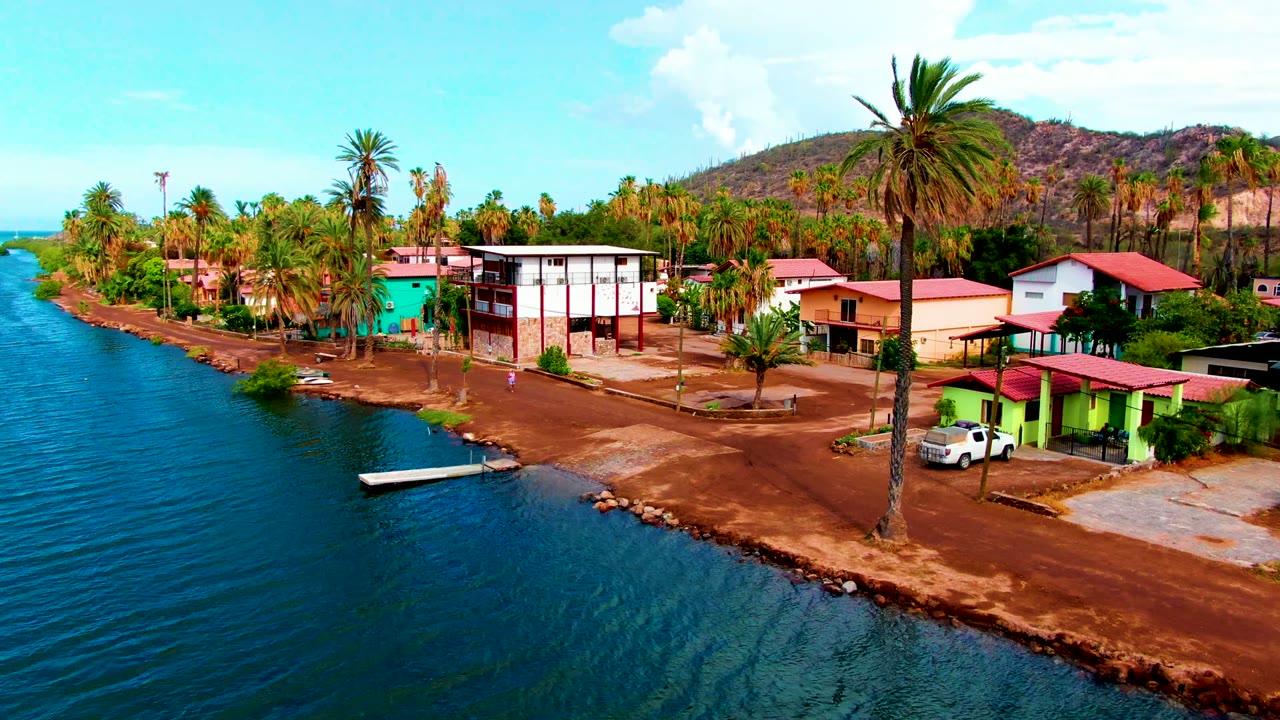 Palm-lined waterfront with a small dock, houses, dirt road, and hillside.