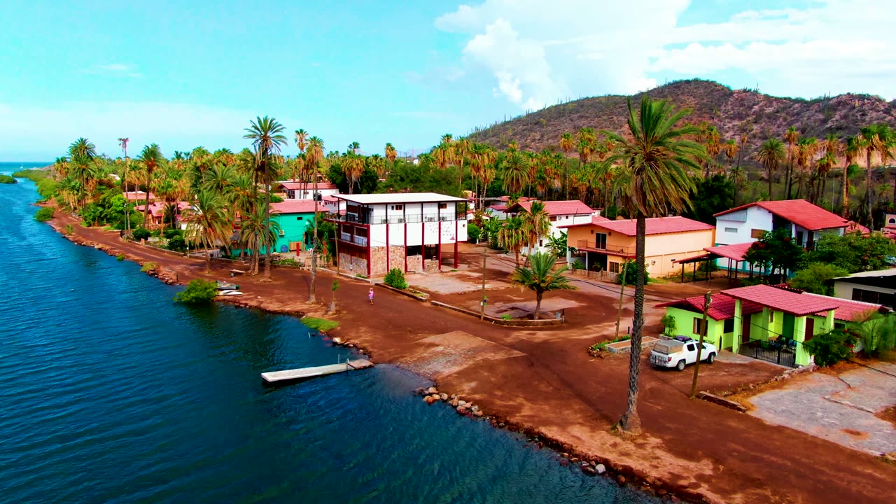 Aerial frame in Mulege with calm blue water along the left edge, palms and homes filling the shoreline, a red-roofed structure at right, dry hillside in back, and no visible people.