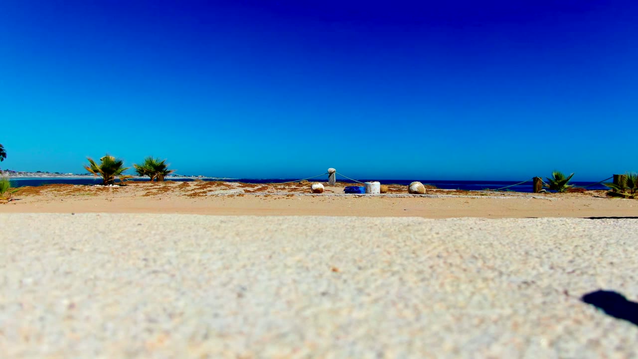 Low view across pale sand in La Bocana, Baja California Sur, with small palms near the horizon, a strip of blue ocean, clear sky, and no visible people.