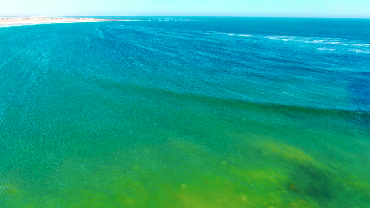 Clear shallow water with green seabed and darker algae areas