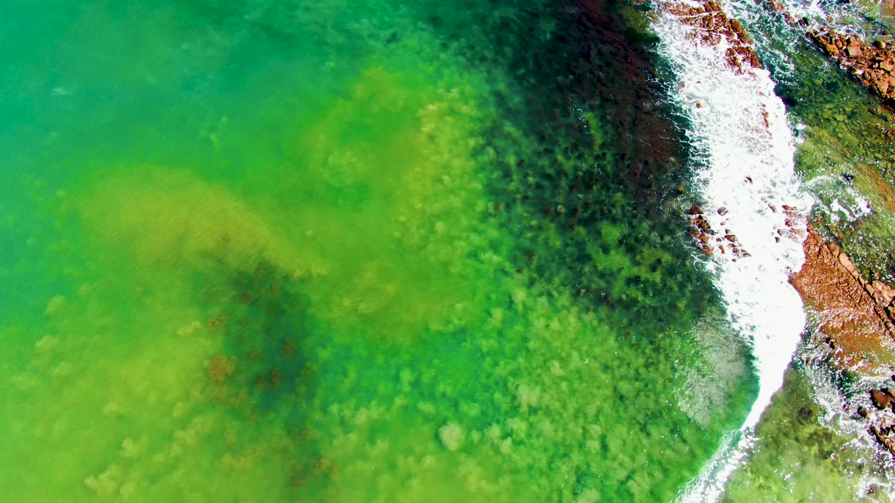 Turquoise water with a foamy wave line along rocks