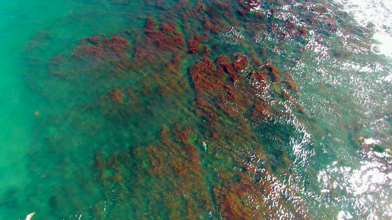 Overhead view of shallow turquoise water in La Bocana with red-brown seaweed patches near the center and bright sun reflection on ripples, no visible people.