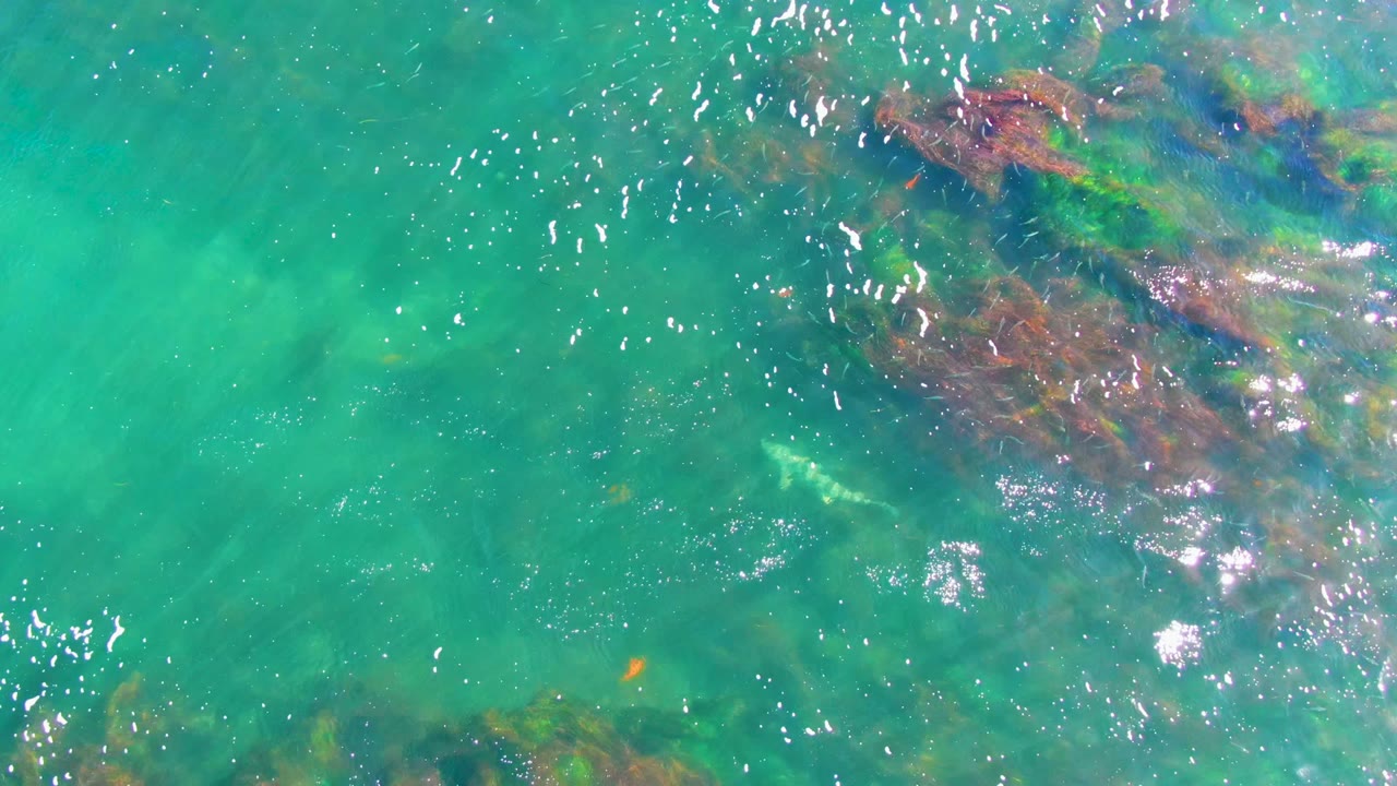 Overhead view in La Bocana, Baja California Sur shows turquoise water, submerged seaweed near the upper right, bright ripple highlights, and no visible people.