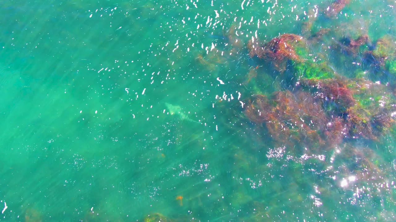 Overhead water in La Bocana contains a reddish-brown seaweed mass in the upper right, pale underwater patches, bright surface glints, and no visible people.