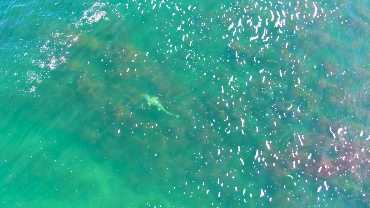 Turquoise water surface with a faint ray and scattered reflections.