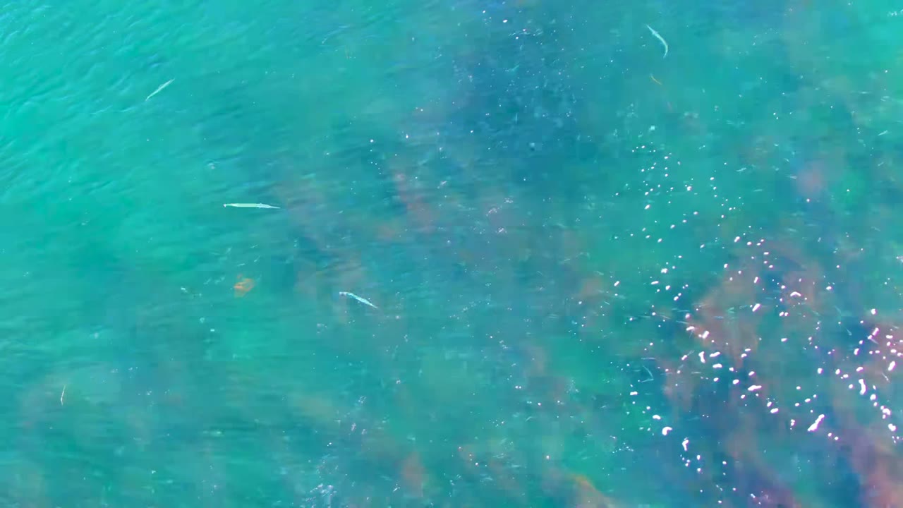 Overhead view of clear turquoise water in La Bocana, Baja California Sur, with small pale fish, submerged dark patches, bright surface sparkle, and no visible people.