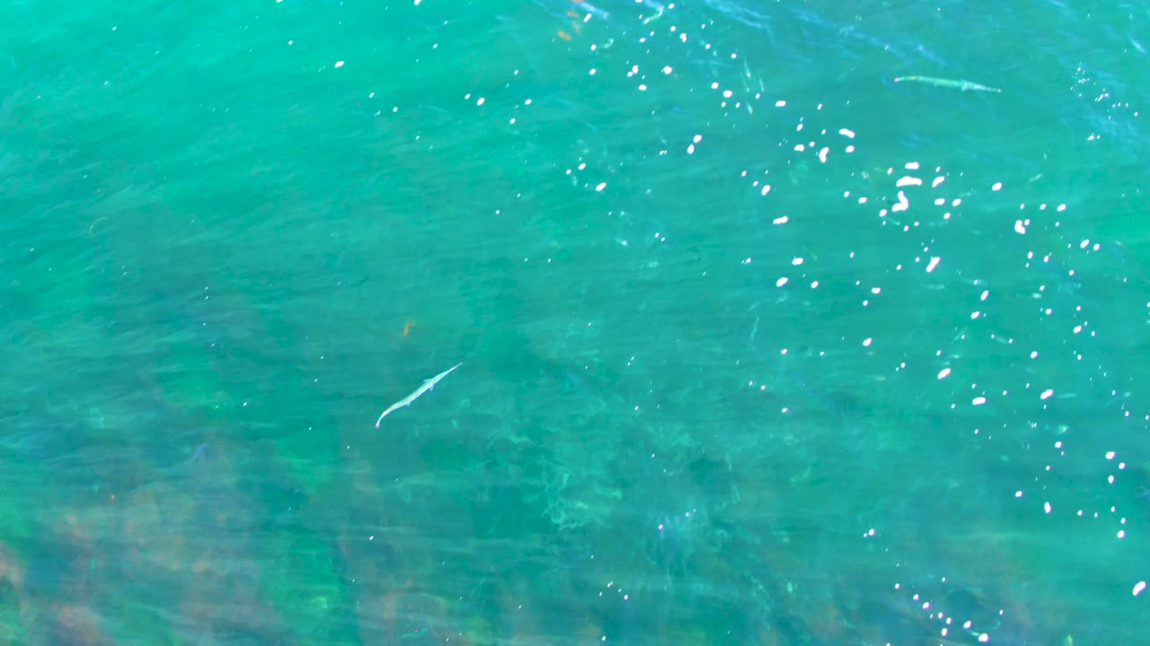At La Bocana, Baja California Sur, small fish are visible beneath turquoise surface ripples with scattered white sun reflections and no visible people.