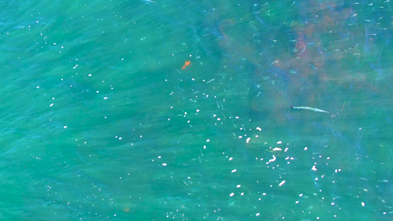 Clear turquoise water with faint fish shapes and sparkle.