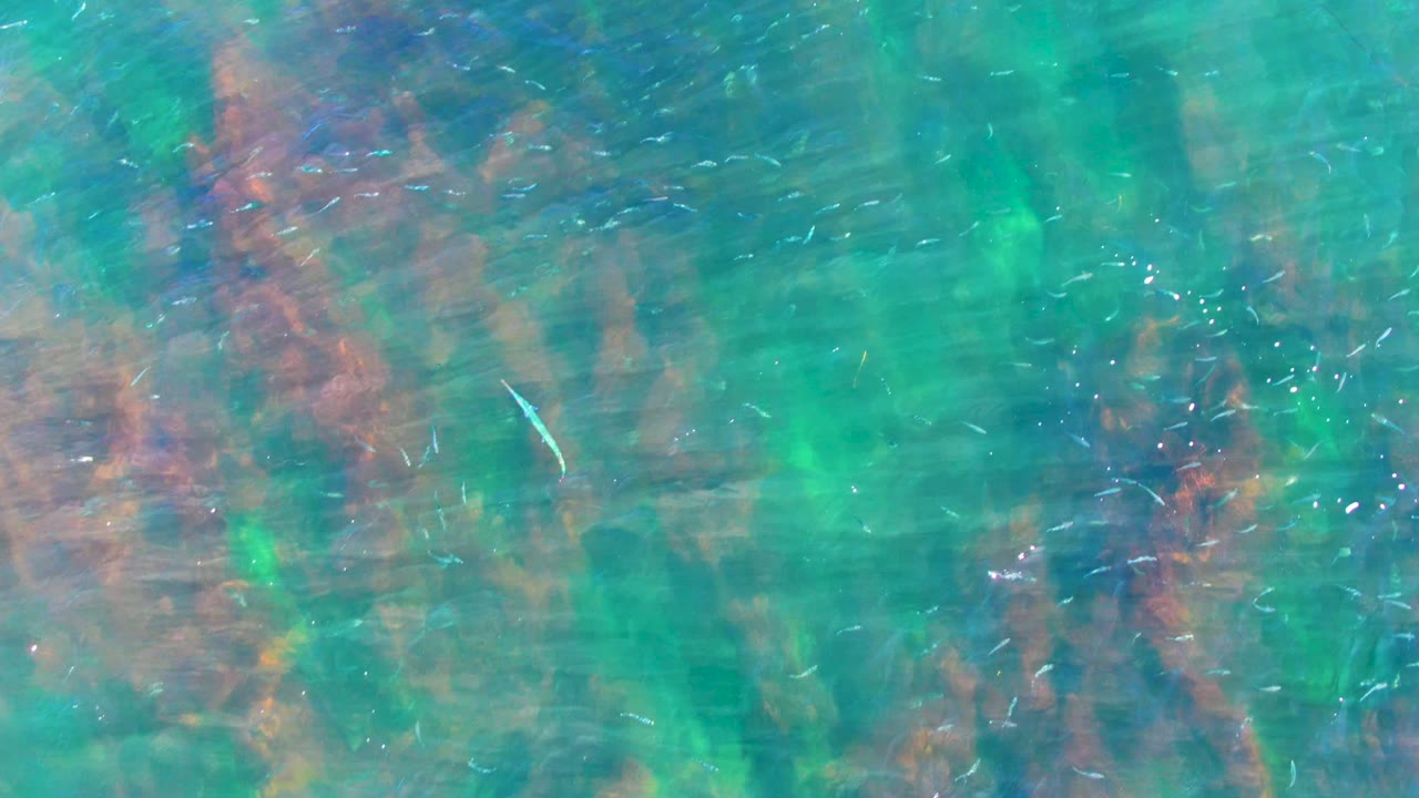 Clear turquoise ocean water in La Bocana, Baja California Sur, with small fish near darker underwater patches and no visible people.