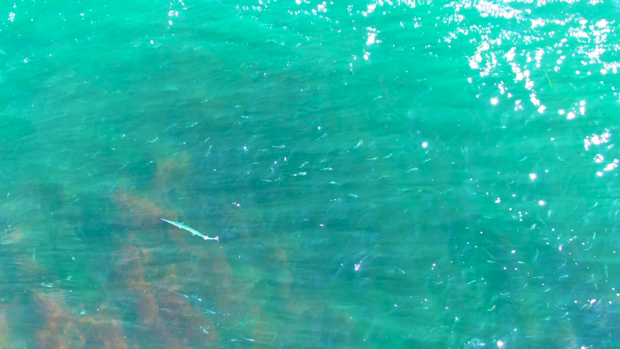 Turquoise water in La Bocana shows faint fish and soft brown-green underwater rock or reef shapes under a lightly rippled surface, with no visible people.