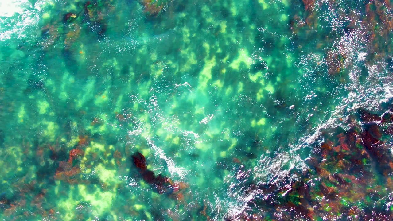 Clear green ocean water with dark rock shapes beneath the surface.