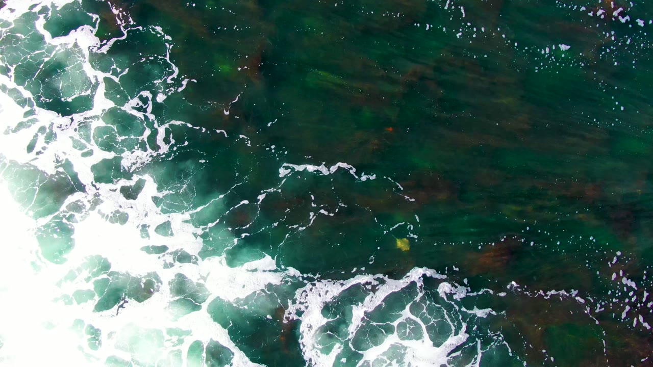 White wave foam crossing clear green water above a shallow seabed.