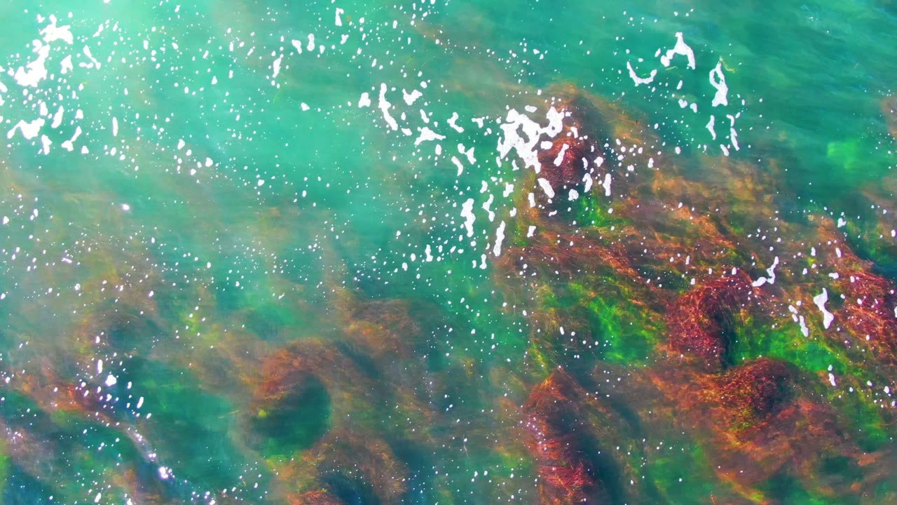 Overhead view of clear turquoise shallow water in La Bocana, Baja California Sur, with red and green seaweed below the surface and no visible people.