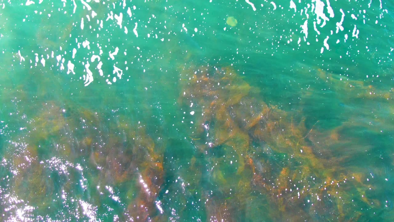 Clear green water with darker seaweed patches and bright reflections