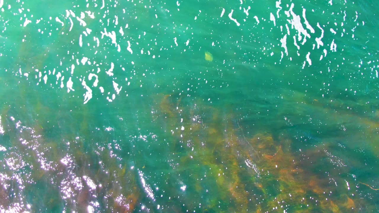 Turquoise water at La Bocana reveals muted brown and olive seaweed forms under a speckled reflective surface, with no visible people.