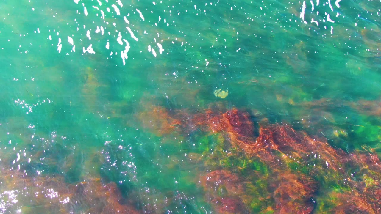Clear shallow ocean water in La Bocana, Baja California Sur shows reddish submerged rocks, green algae, bright surface reflections, and no visible people.