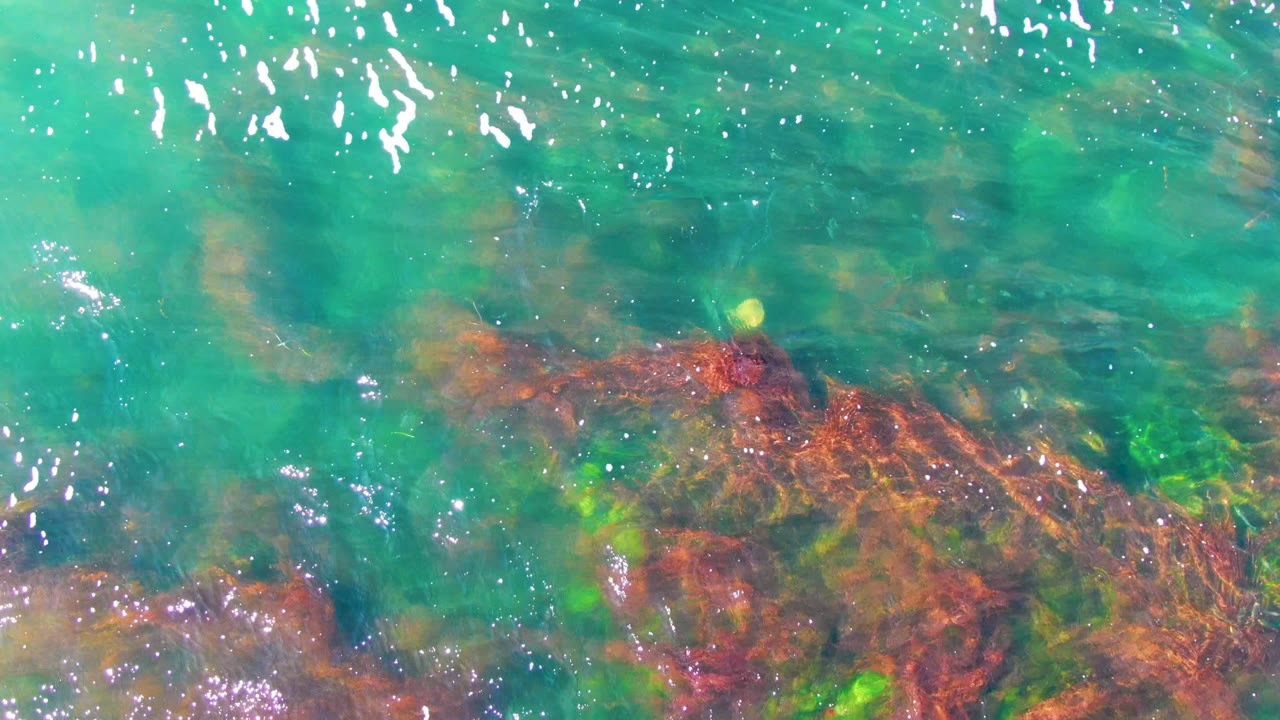 Turquoise water with rocks and algae visible below the surface.