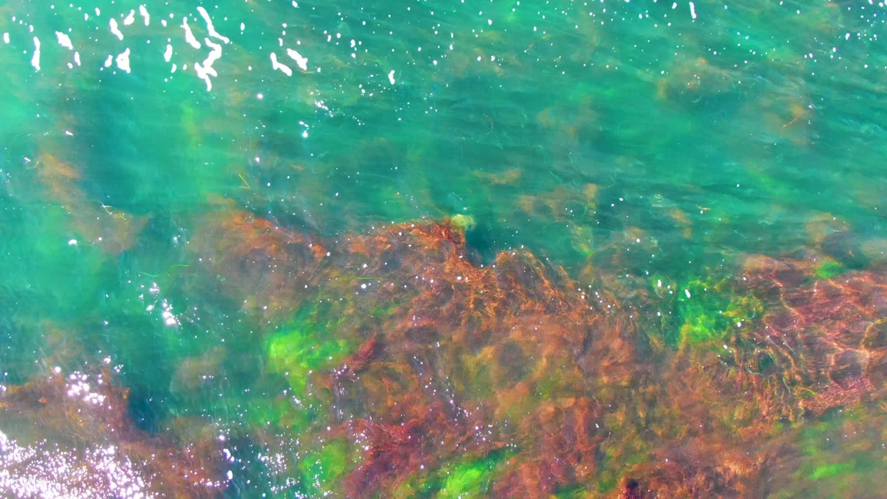 La Bocana shallow water reveals a larger reddish rock formation under turquoise ripples, with green algae and no visible people.