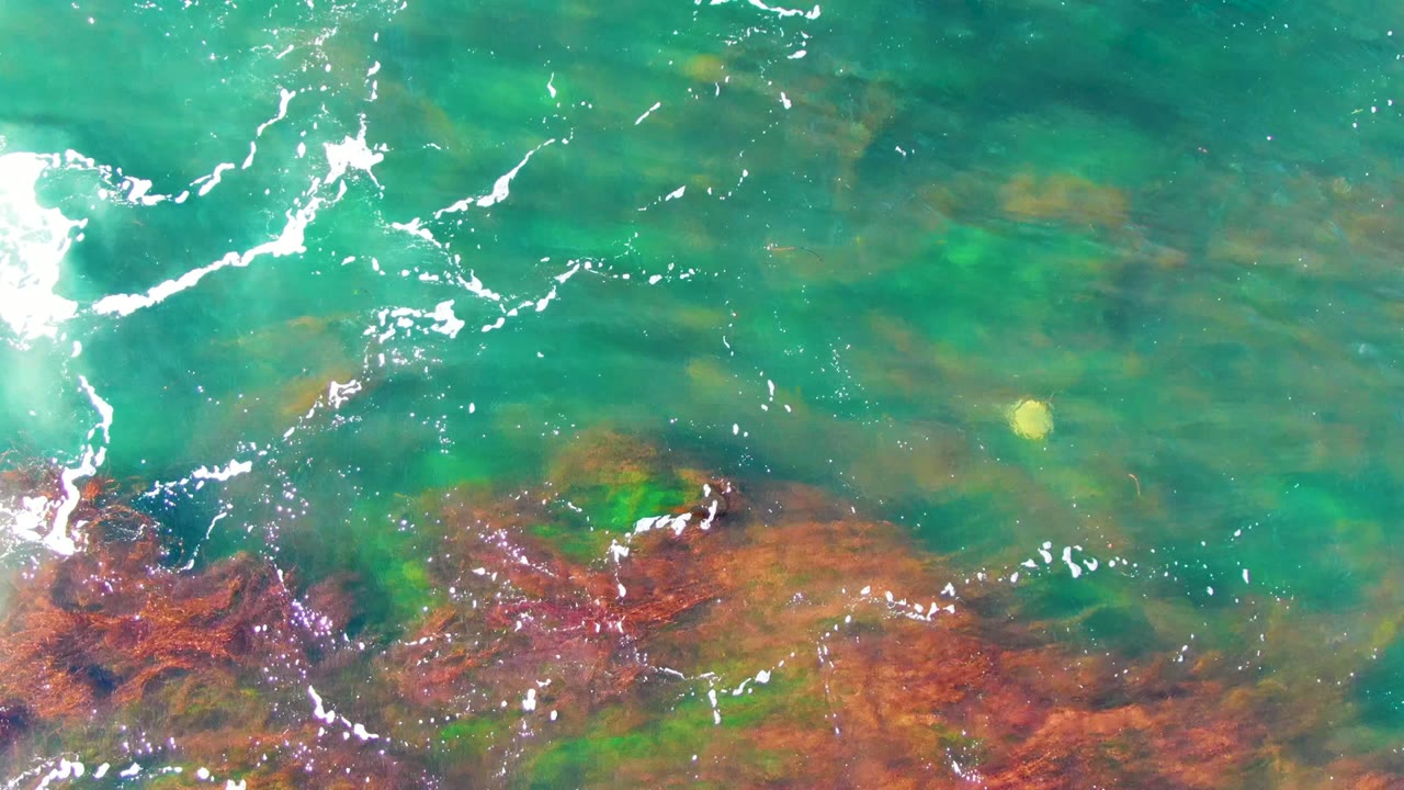 At 0:00 in La Bocana, Baja California Sur, turquoise shallow water passes over reddish rocks and algae with bright white ripples and no visible people.