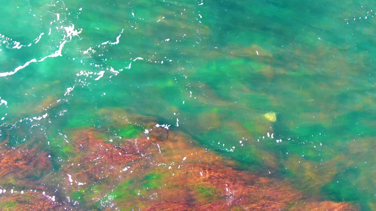 Small yellow object in clear water above rocky seabed