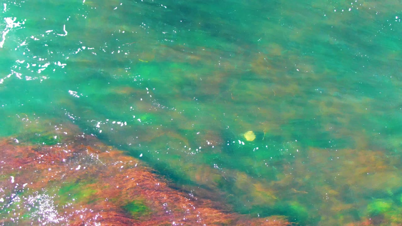 At 0:02 in La Bocana, Baja California Sur, the yellow object sits near the upper water area while reddish submerged rocks and algae show through the green-turquoise surface, with no visible people.