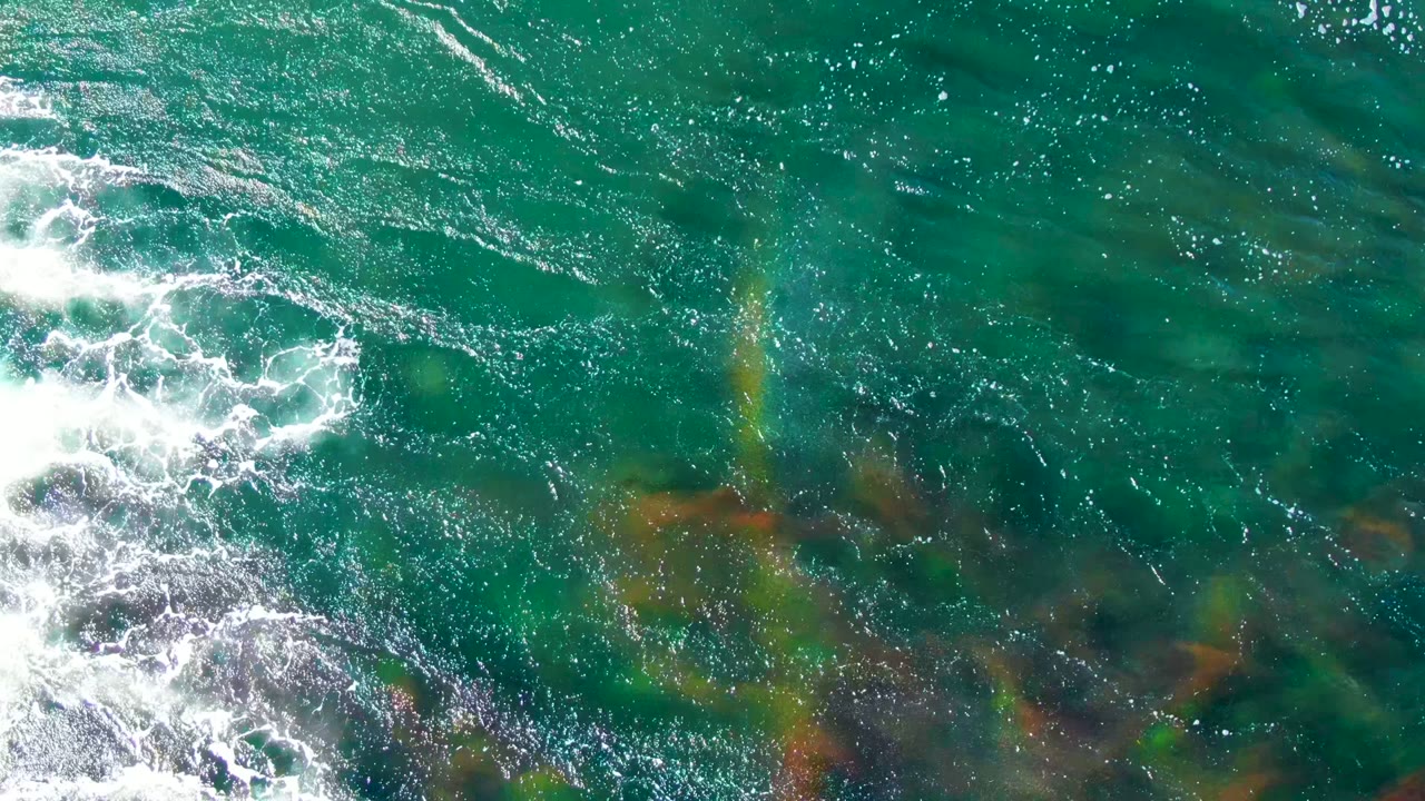 Overhead frame from La Bocana, Baja California Sur showing turquoise water, white foam at the left edge, submerged red and green seaweed, darker rocks, and no visible people.