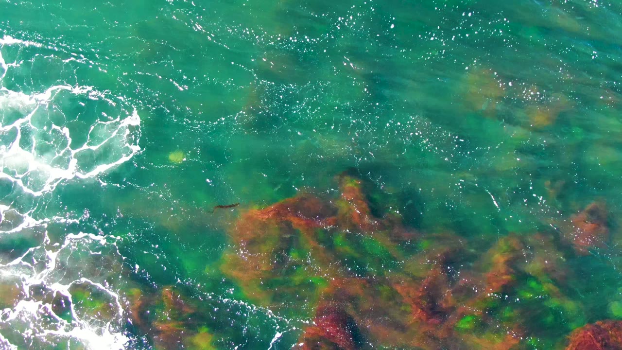 White foam patches spread across clear turquoise water above seaweed.