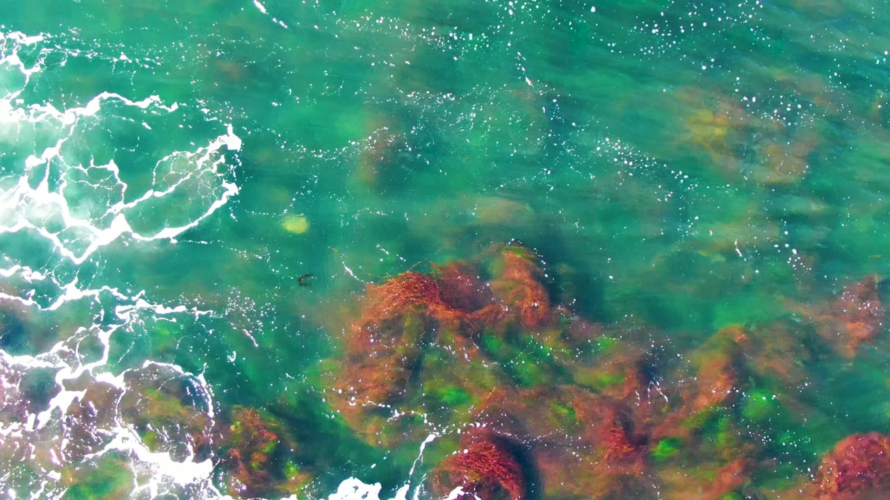 Overhead La Bocana frame showing foamy white wave streaks over turquoise water, red and green seabed vegetation to the right, and no visible people.