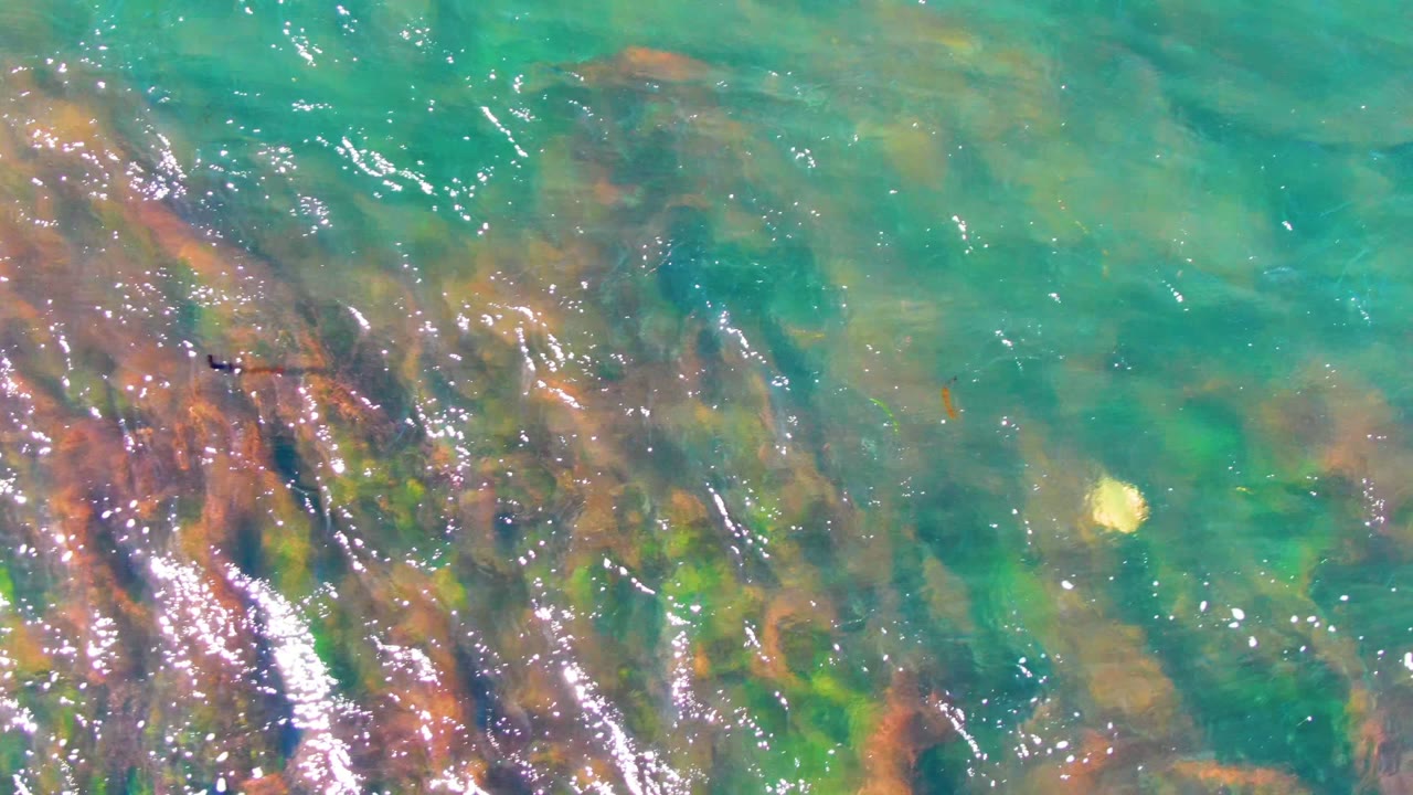 Turquoise shallow water in La Bocana, Baja California Sur reveals brown seaweed and green algae under bright surface reflections, with no visible people.