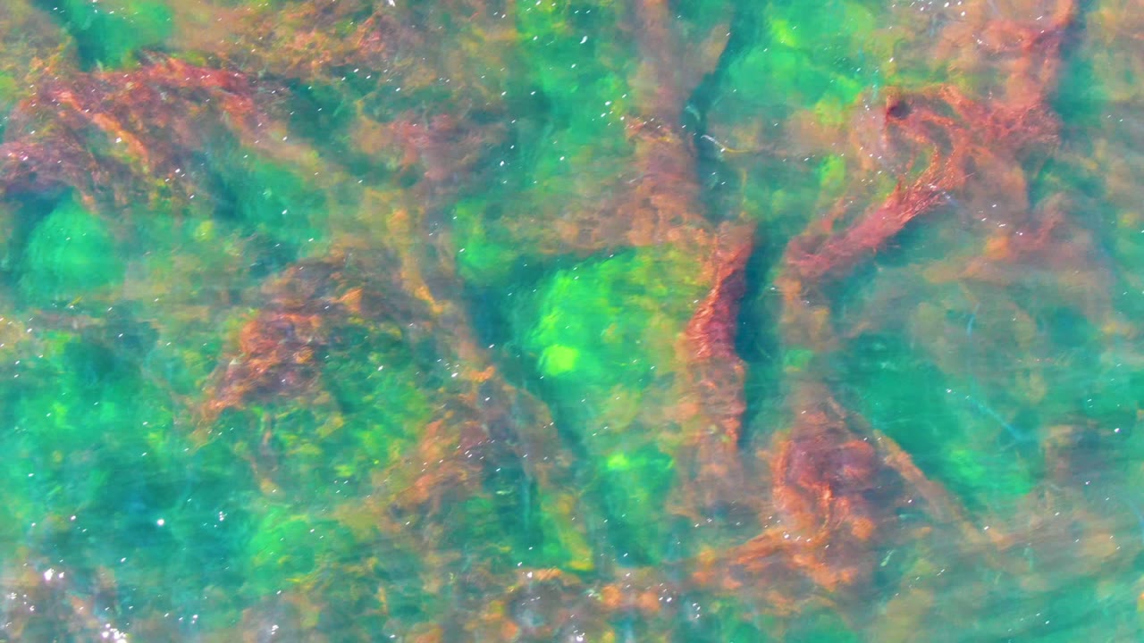 A red seaweed cluster sits near the upper center of clear shallow La Bocana water, surrounded by green light patches and soft ripples, with no visible people.