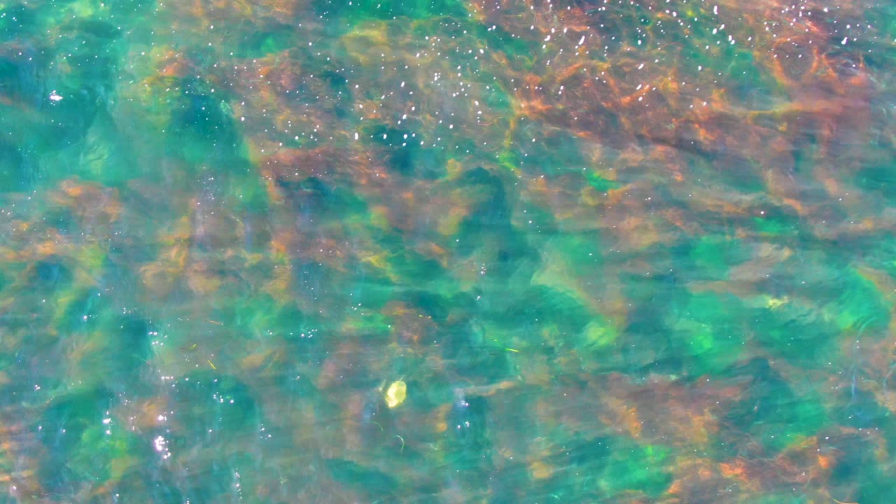 Clear turquoise-green shallow water in La Bocana, Baja California Sur reveals a rocky seabed below the surface, with scattered sun glints and no visible people.