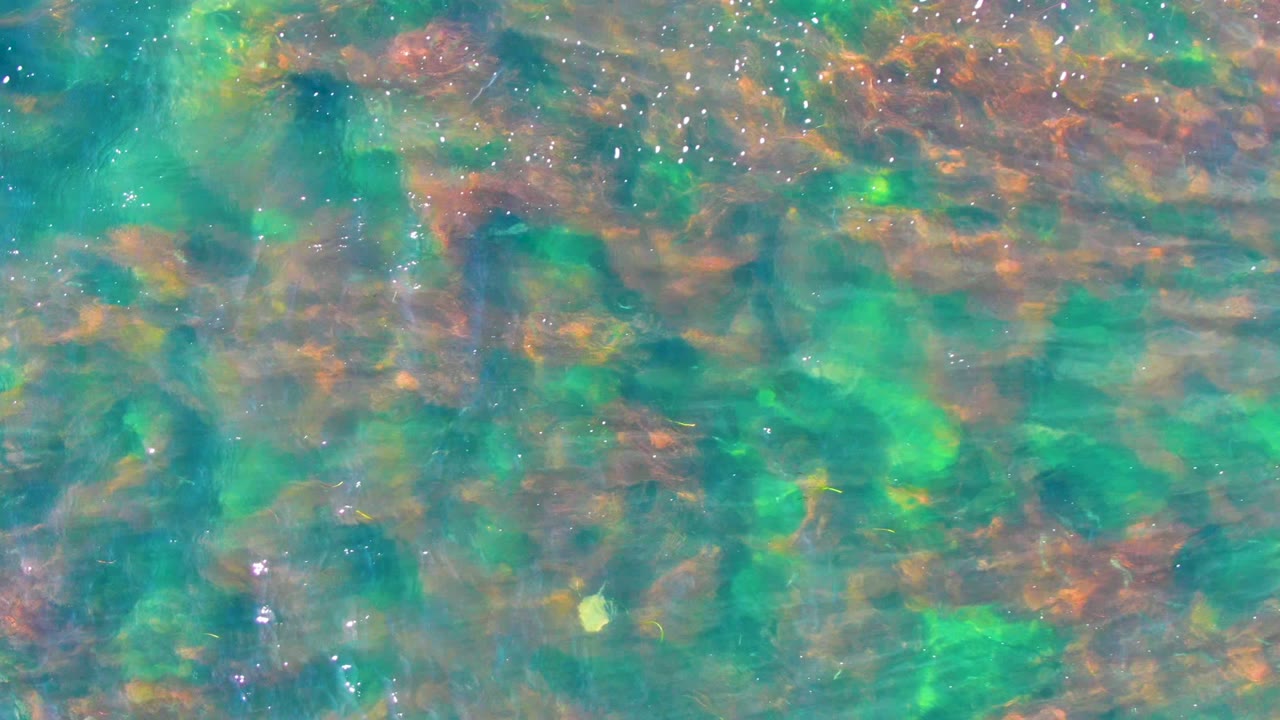 Rippling green-blue water with brown rocks visible below