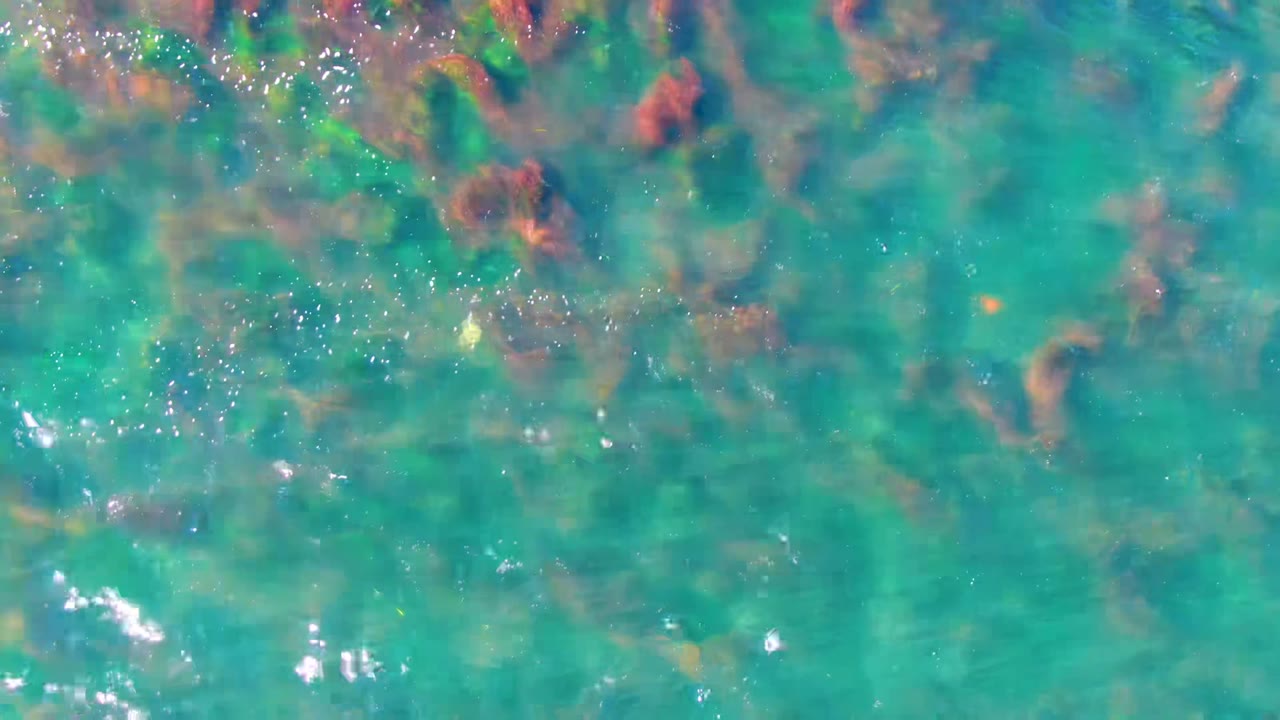 Clear turquoise water in La Bocana, Baja California Sur shows a mottled rocky seabed beneath small surface ripples, with no visible people.