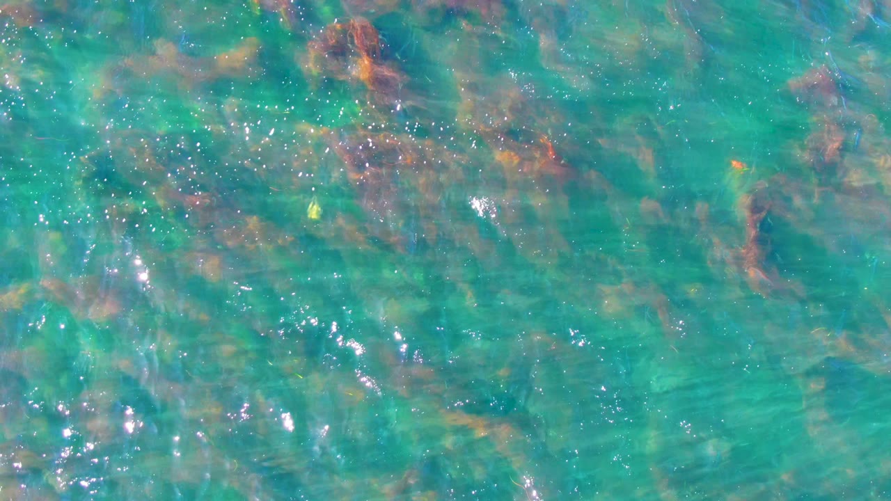 Turquoise water in La Bocana, Baja California Sur ripples over scattered dark and rust-colored seabed texture, with no visible people.