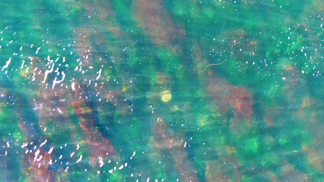 Top-down view of clear turquoise water in La Bocana, Baja California Sur, with bright ripples over green and reddish submerged rocks, no visible people.