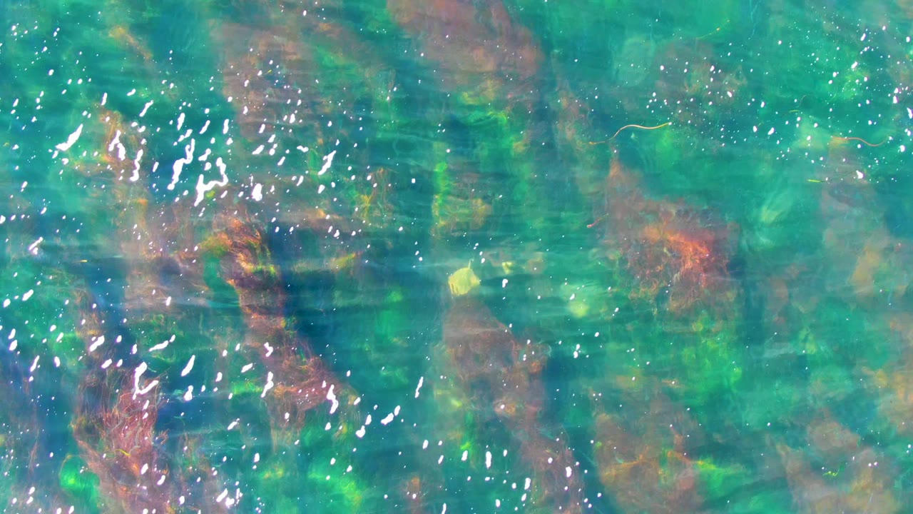 Clear shallow water with bright surface reflections over rocks