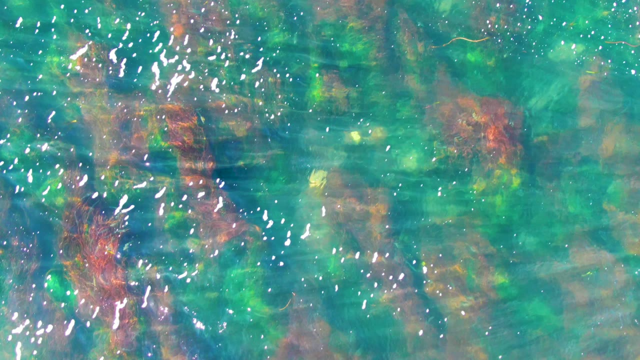 Overhead frame of La Bocana turquoise shallows with mottled red, brown, and green seabed color beneath small ripples, no visible people.
