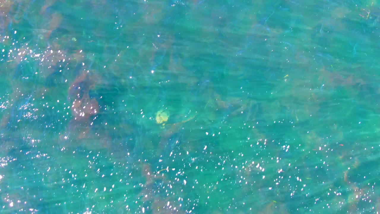 Shallow green-blue water at La Bocana with scattered white reflections, soft wave texture, visible seabed patches, and no visible people.